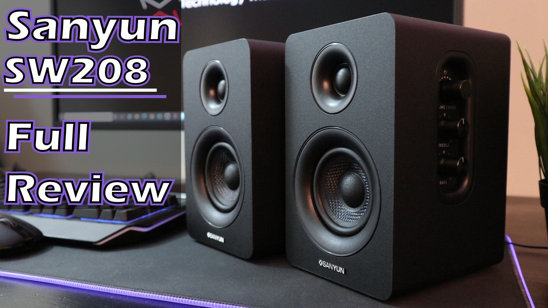 Sanyun SW208 review