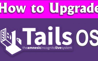Update TAILS OS Manually without loosing the persistent settings